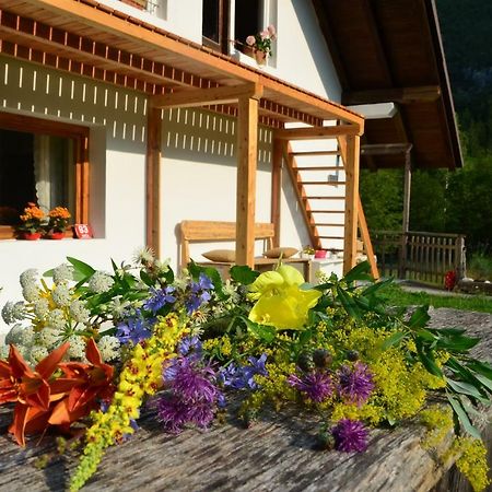 Bovec Home At Three Samoyeds Соча Екстер'єр фото