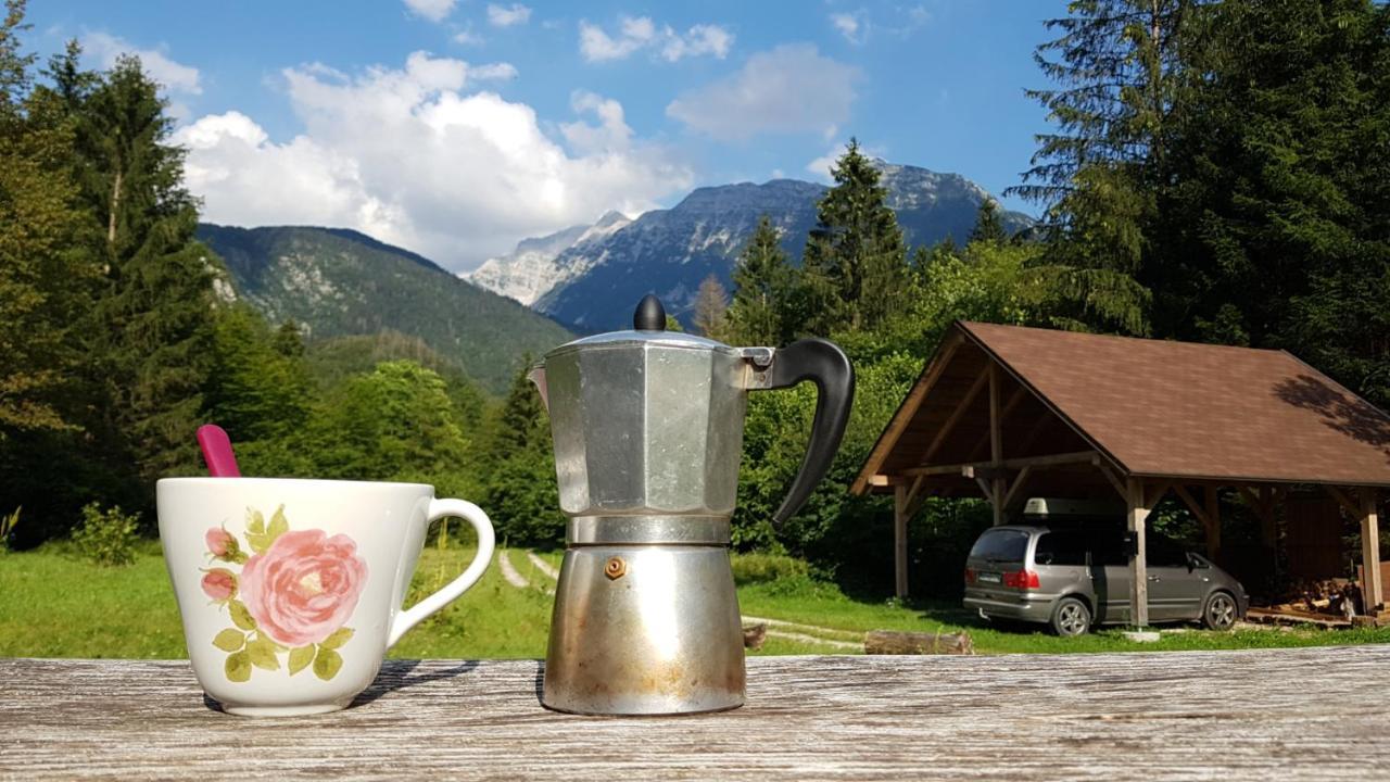 Bovec Home At Three Samoyeds Соча Екстер'єр фото