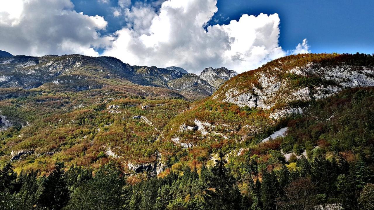 Bovec Home At Three Samoyeds Соча Екстер'єр фото