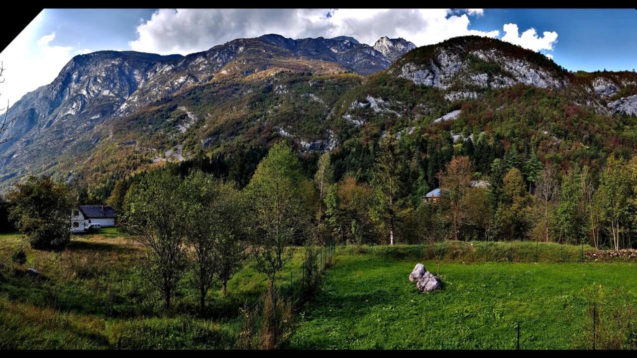 Bovec Home At Three Samoyeds Соча Екстер'єр фото