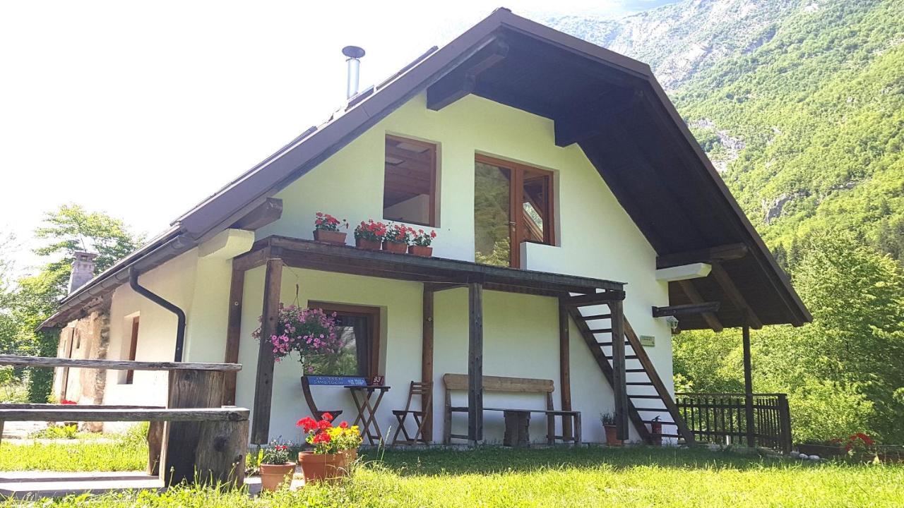Bovec Home At Three Samoyeds Соча Екстер'єр фото