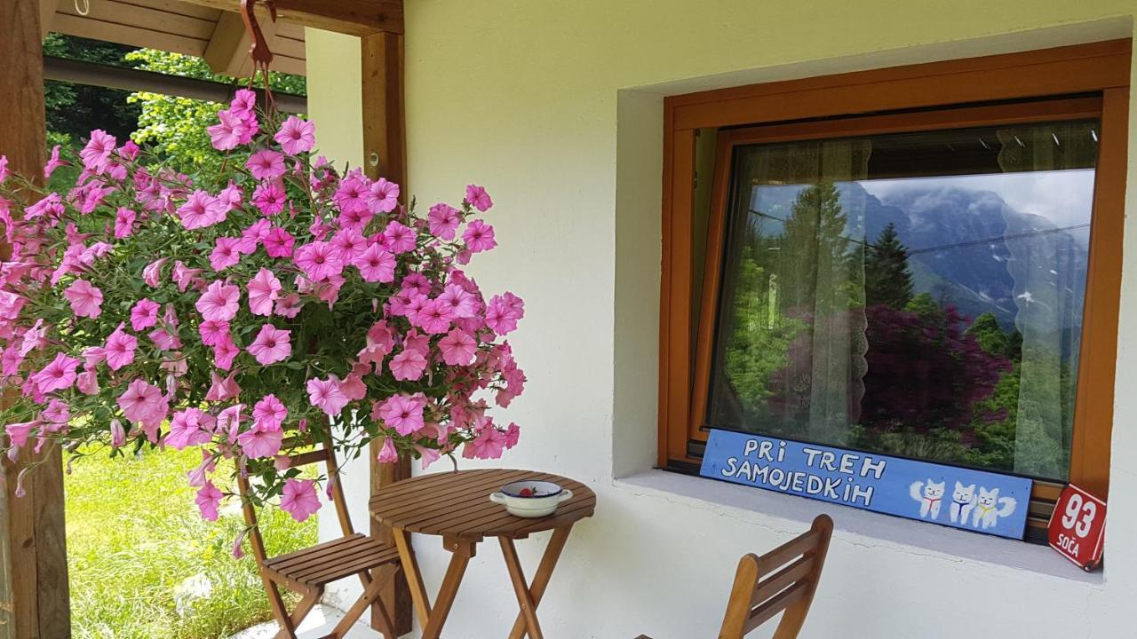 Bovec Home At Three Samoyeds Соча Екстер'єр фото
