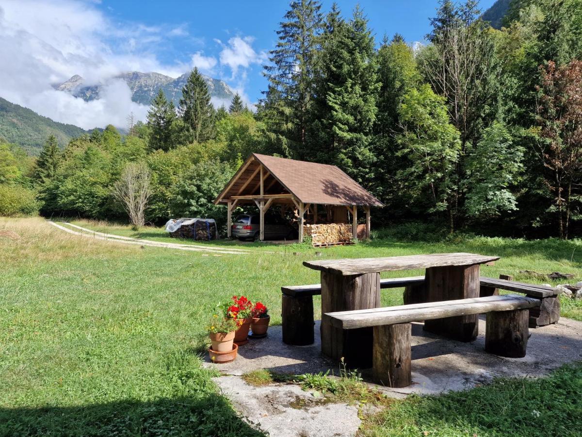 Bovec Home At Three Samoyeds Соча Екстер'єр фото