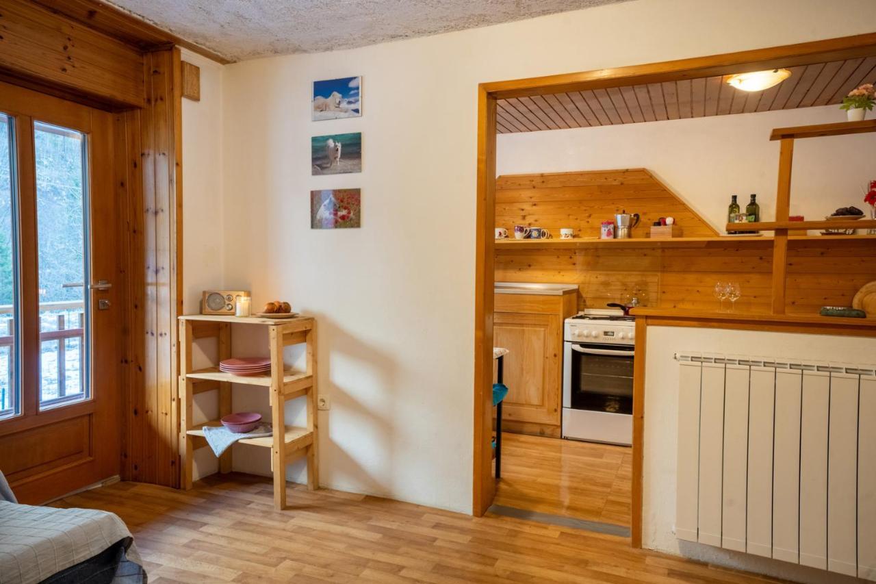 Bovec Home At Three Samoyeds Соча Екстер'єр фото