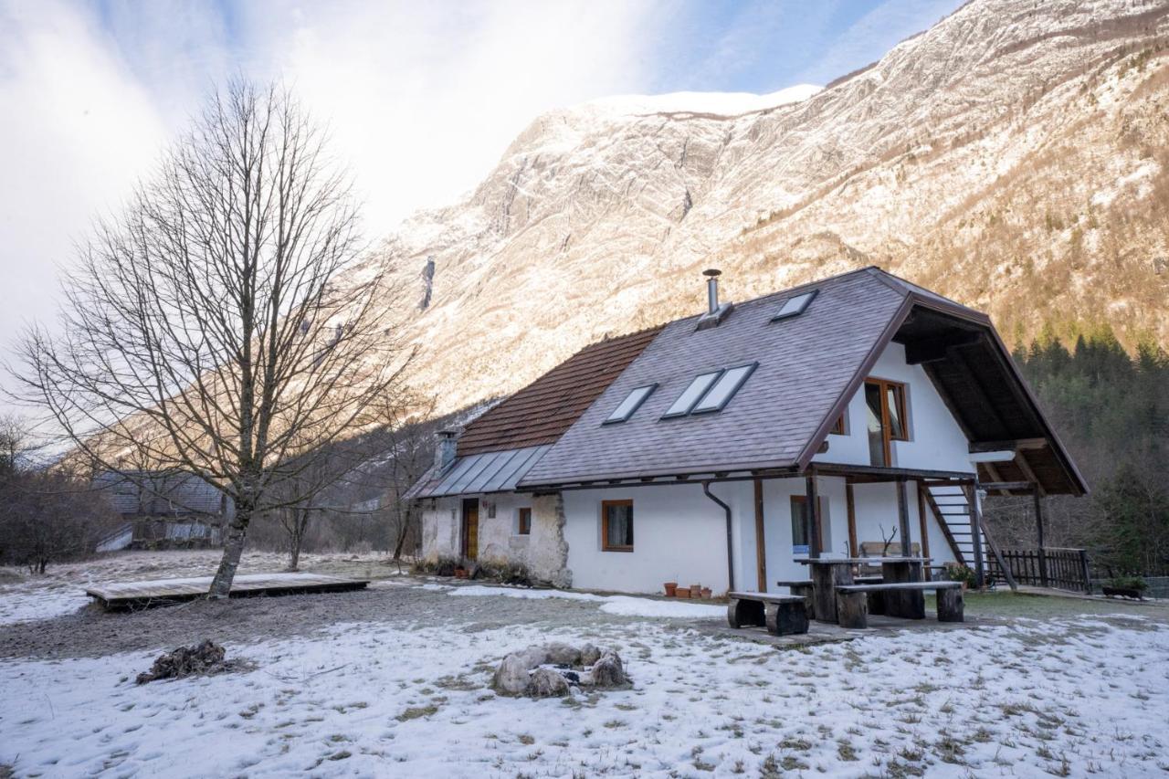 Bovec Home At Three Samoyeds Соча Екстер'єр фото