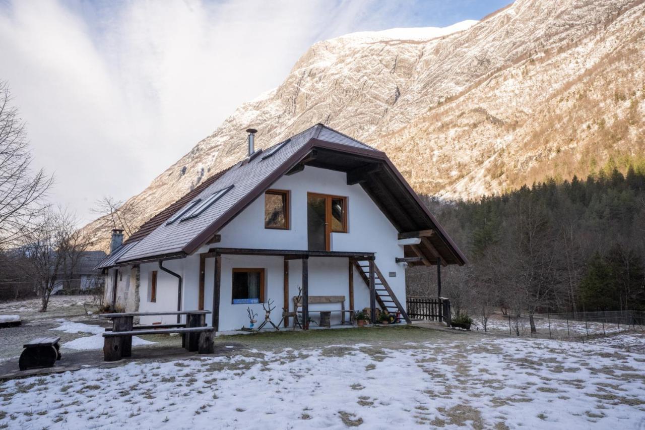 Bovec Home At Three Samoyeds Соча Екстер'єр фото