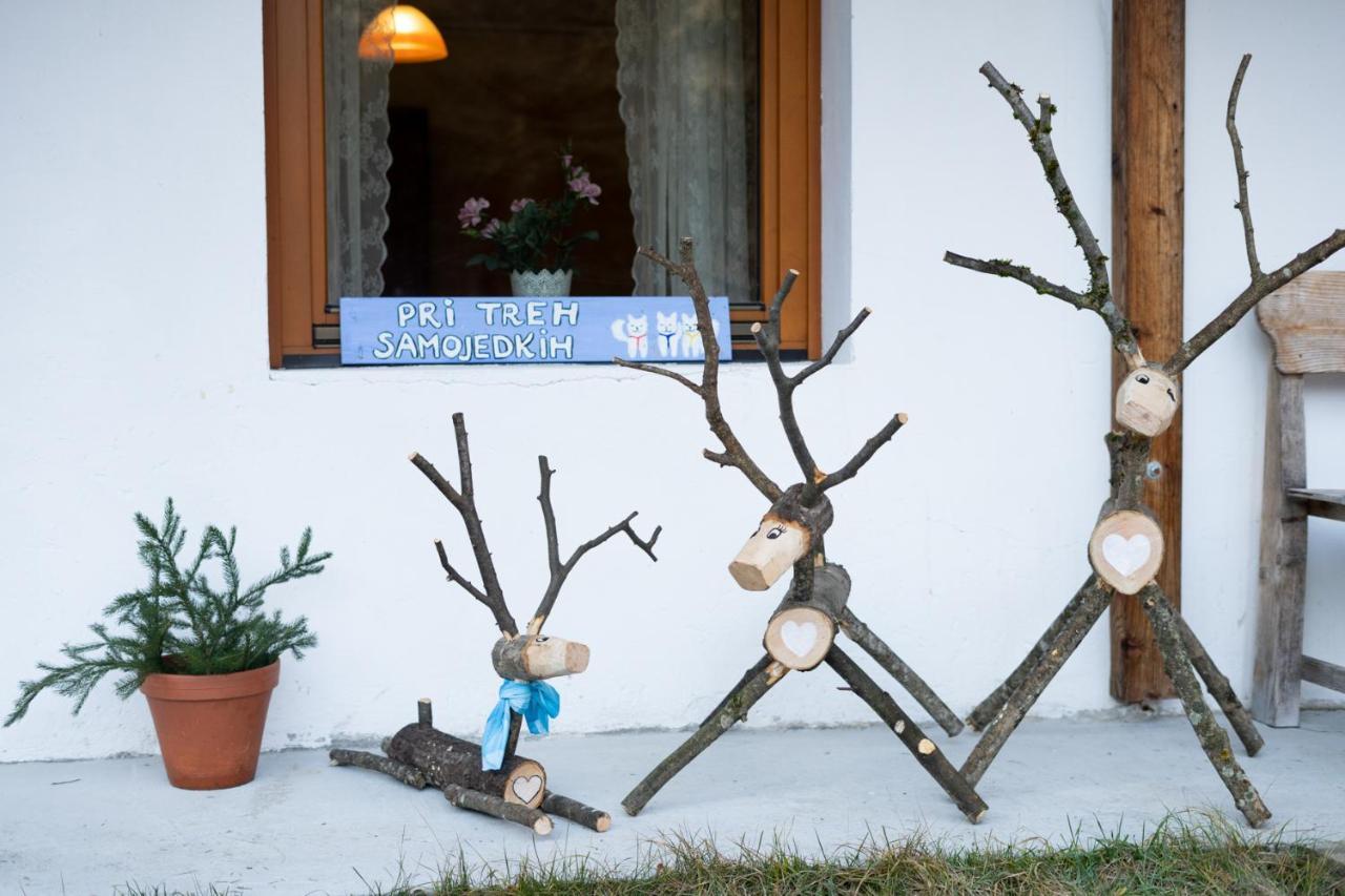 Bovec Home At Three Samoyeds Соча Екстер'єр фото