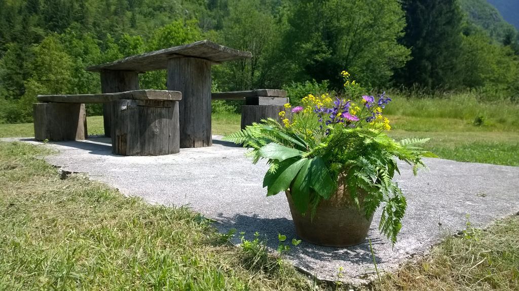 Bovec Home At Three Samoyeds Соча Екстер'єр фото