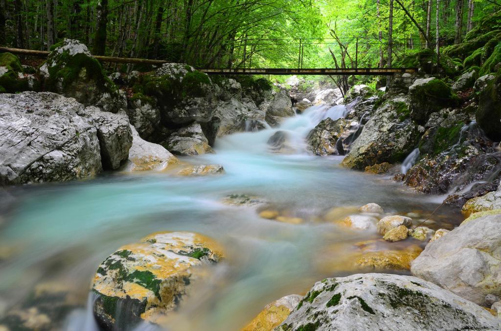 Bovec Home At Three Samoyeds Соча Екстер'єр фото