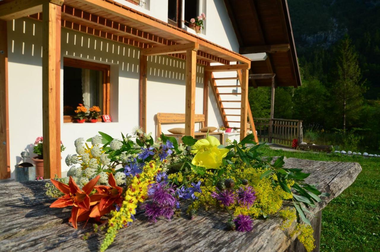 Bovec Home At Three Samoyeds Соча Екстер'єр фото