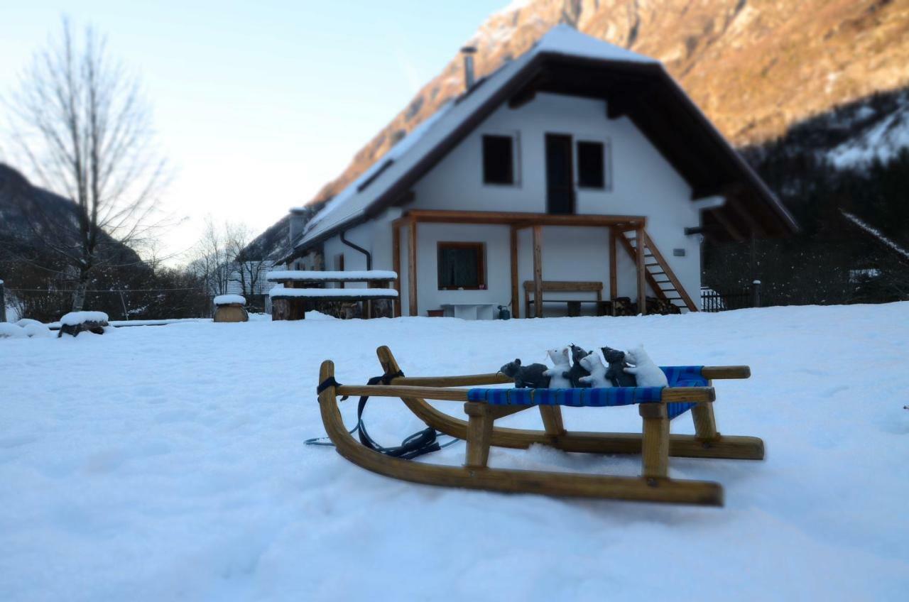 Bovec Home At Three Samoyeds Соча Екстер'єр фото