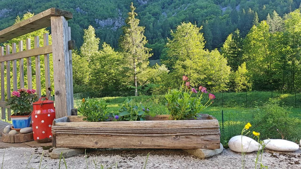 Bovec Home At Three Samoyeds Соча Екстер'єр фото