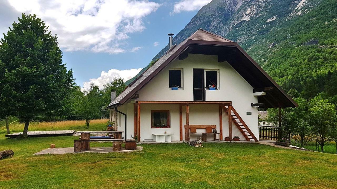 Bovec Home At Three Samoyeds Соча Екстер'єр фото